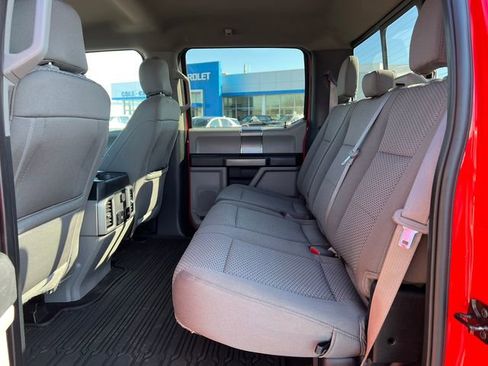 Used 2019 Ford F150 XLT w/ Equipment Group 302A Luxury AWD/4WD image 5