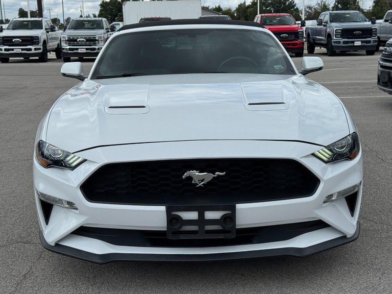 Used 2019 Ford Mustang Premium RWD image 9
