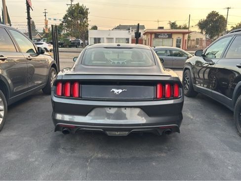 Used 2015 Ford Mustang Premium w/ Equipment Group 201A RWD image 3