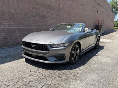 Used 2024 Ford Mustang Premium