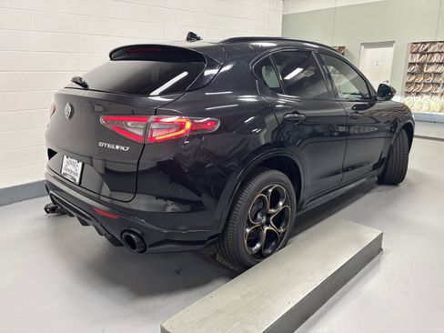 New 2025 Alfa Romeo Stelvio Sprint image 4