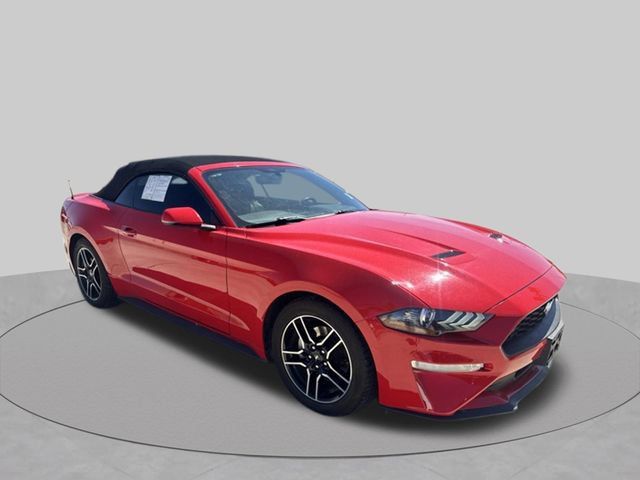 Used 2019 Ford Mustang Premium RWD image 5