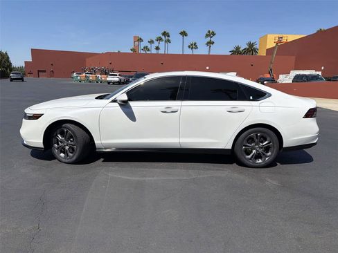 Used 2024 Honda Accord EX-L image 3