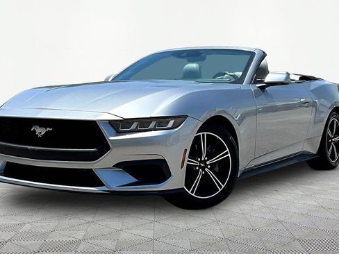Used 2024 Ford Mustang Premium RWD image 1