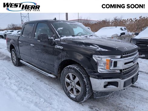 Used 2019 Ford F150 XLT w/ Equipment Group 302A Luxury image 1