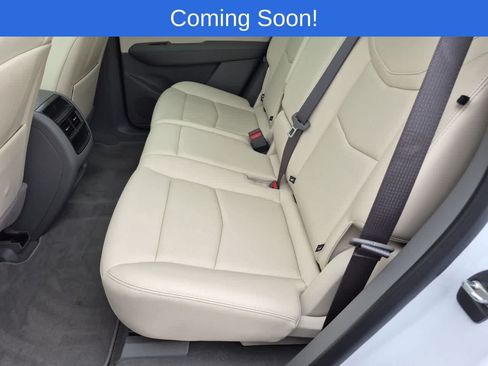 Used 2024 Cadillac XT5 Premium Luxury w/ LPO, Floor Liner Package AWD/4WD image 20