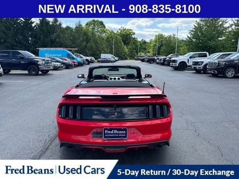 Used 2016 Ford Mustang GT Premium w/ Equipment Group 401A RWD image 7