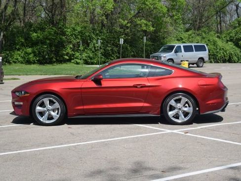 Used 2019 Ford Mustang Premium w/ Equipment Group 201A RWD image 20