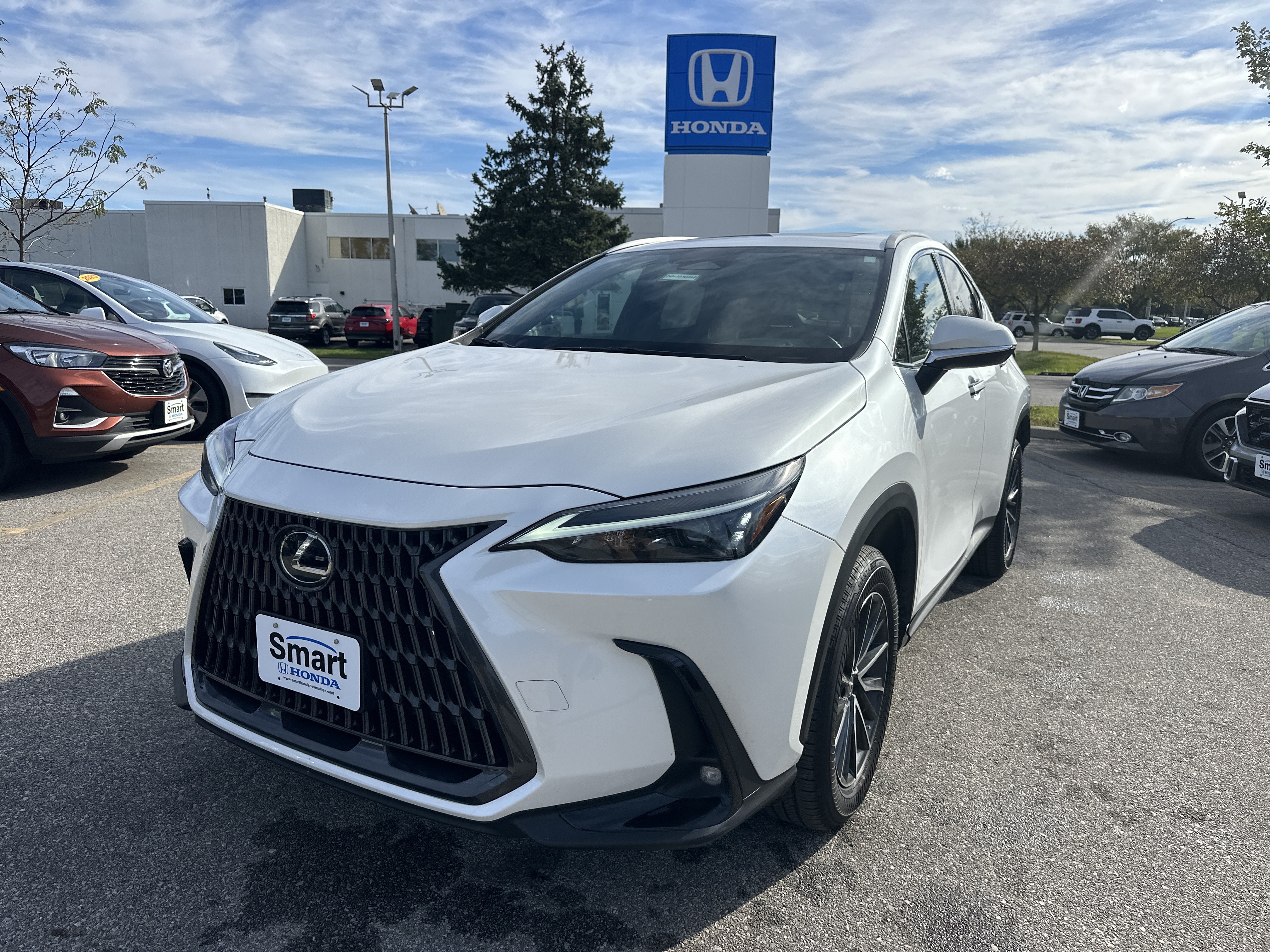 Used 2023 Lexus NX 350 AWD w/ Cold Area Package image 1