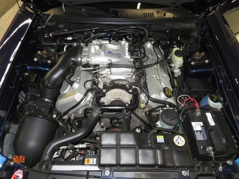 Used 2001 Ford Mustang Cobra RWD image 5