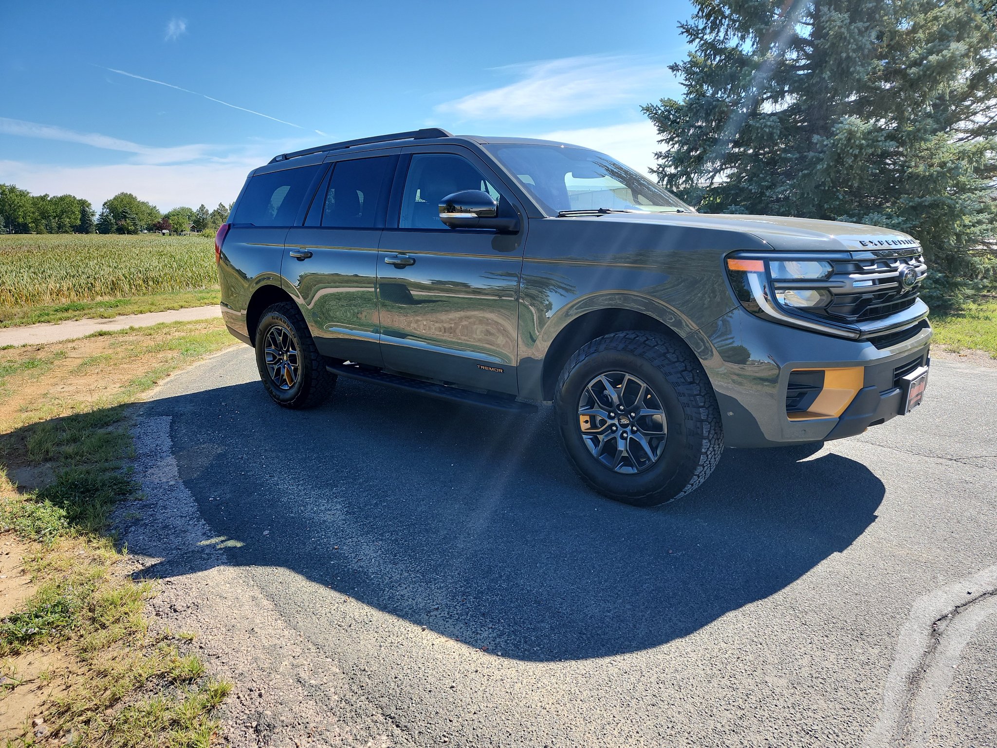 Used 2025 Ford Expedition Tremor AWD/4WD image 4