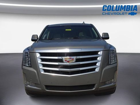 Used 2019 Cadillac Escalade Luxury AWD/4WD image 7