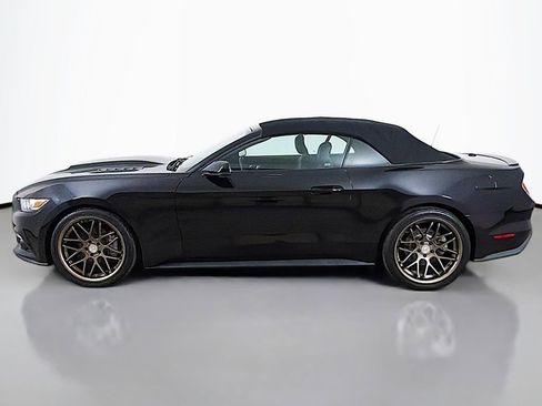 Used 2015 Ford Mustang Premium w/ Equipment Group 201A RWD image 12