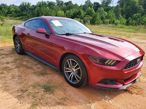 Used 2016 Ford Mustang Premium w/ Equipment Group 201A RWD image 12