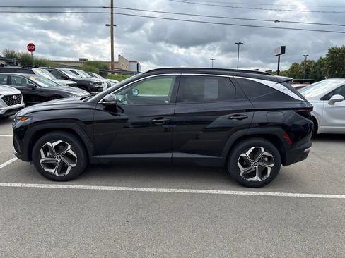 Used 2024 Hyundai Tucson Limited AWD/4WD image 2