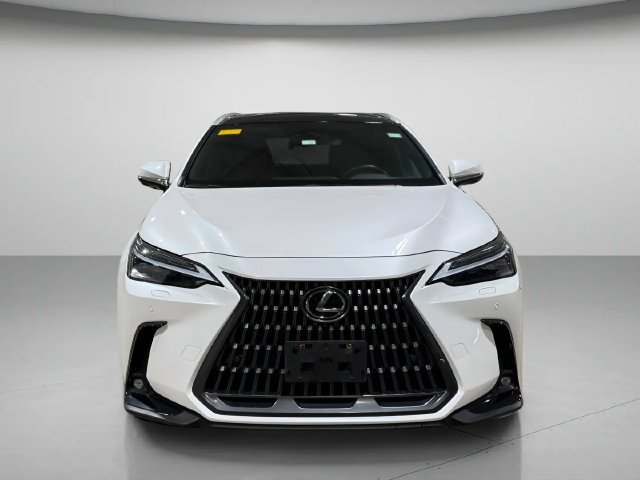 Certified 2025 Lexus NX 350h AWD w/ Cold Area Package image 9