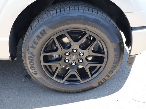 Used 2024 Ford F150 STX w/ STX Black Appearance Package RWD image 10