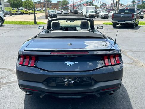 Used 2024 Ford Mustang Premium image 5