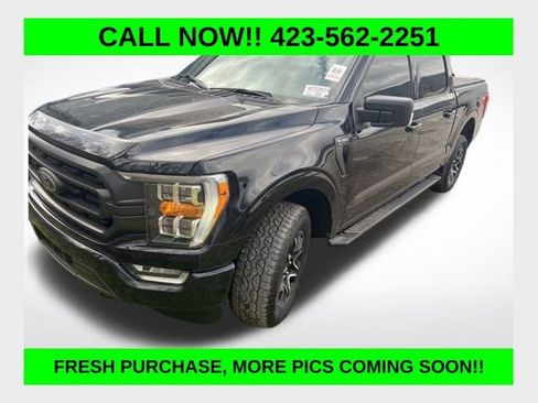 Used 2023 Ford F150 XLT w/ Equipment Group 302A High image 1