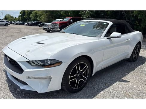 Used 2019 Ford Mustang Premium RWD image 3