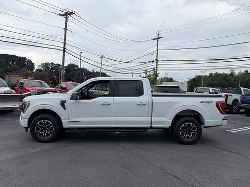 Certified 2023 Ford F150 XLT w/ Equipment Group 302A High AWD/4WD image 3