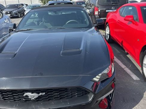 Used 2020 Ford Mustang Convertible w/ Equipment Group 101A image 1