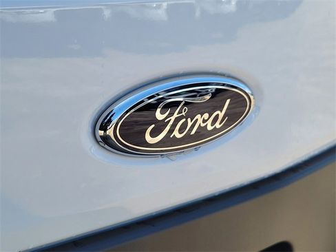 New 2025 Ford Transit 250 148 Medium Roof w/ Load Area Protection Package image 6