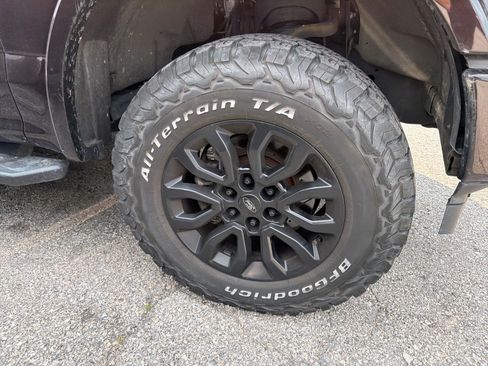 Used 2019 Ford F150 XLT w/ Equipment Group 302A Luxury AWD/4WD image 4