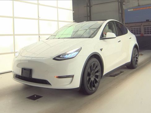 Used 2021 Tesla Model Y Long Range AWD/4WD image 1
