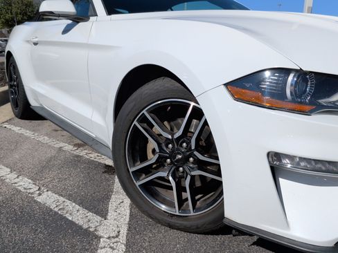 Used 2019 Ford Mustang Premium image 3