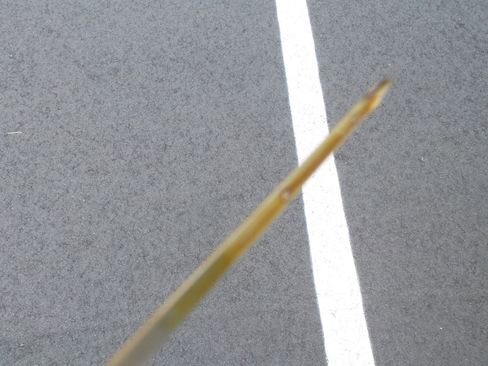 Used 2005 Toyota 4Runner SR5 image 44