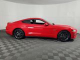 Used 2019 Ford Mustang GT w/ Equipment Group 301A image 3