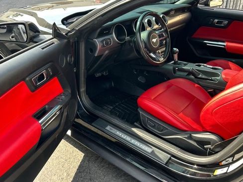 Used 2020 Ford Mustang GT w/ Equipment Group 301A image 6