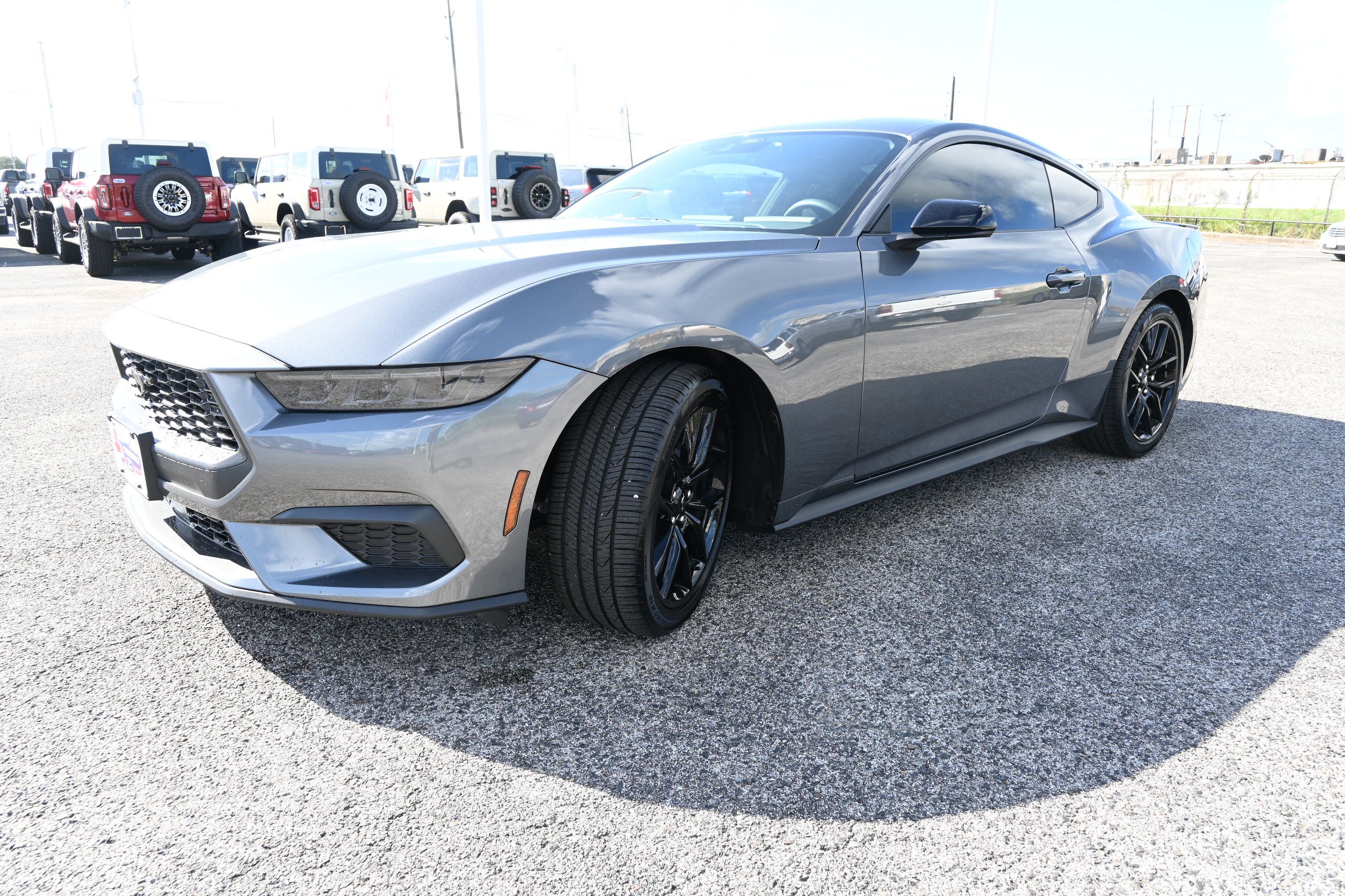 New 2026 Ford Mustang Coupe w/ Mustang Nite Pony Package RWD image 7