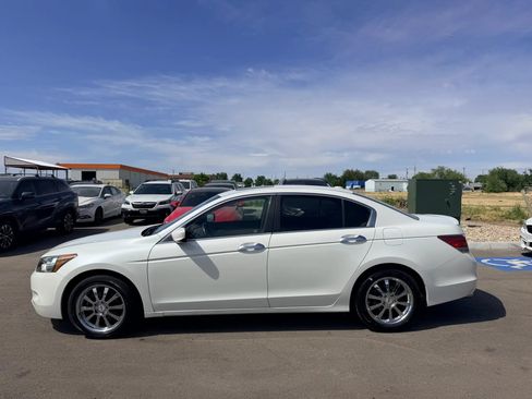 Used 2009 Honda Accord EX-L image 8