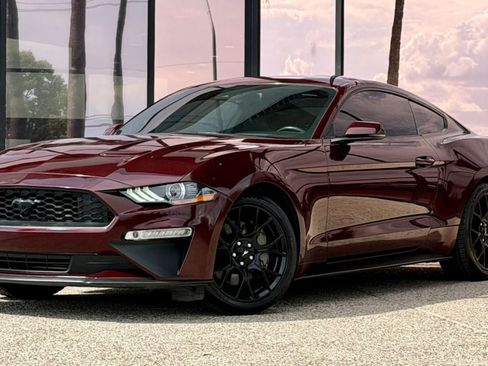 Used 2018 Ford Mustang Premium w/ Ecoboost Performance Package RWD image 3