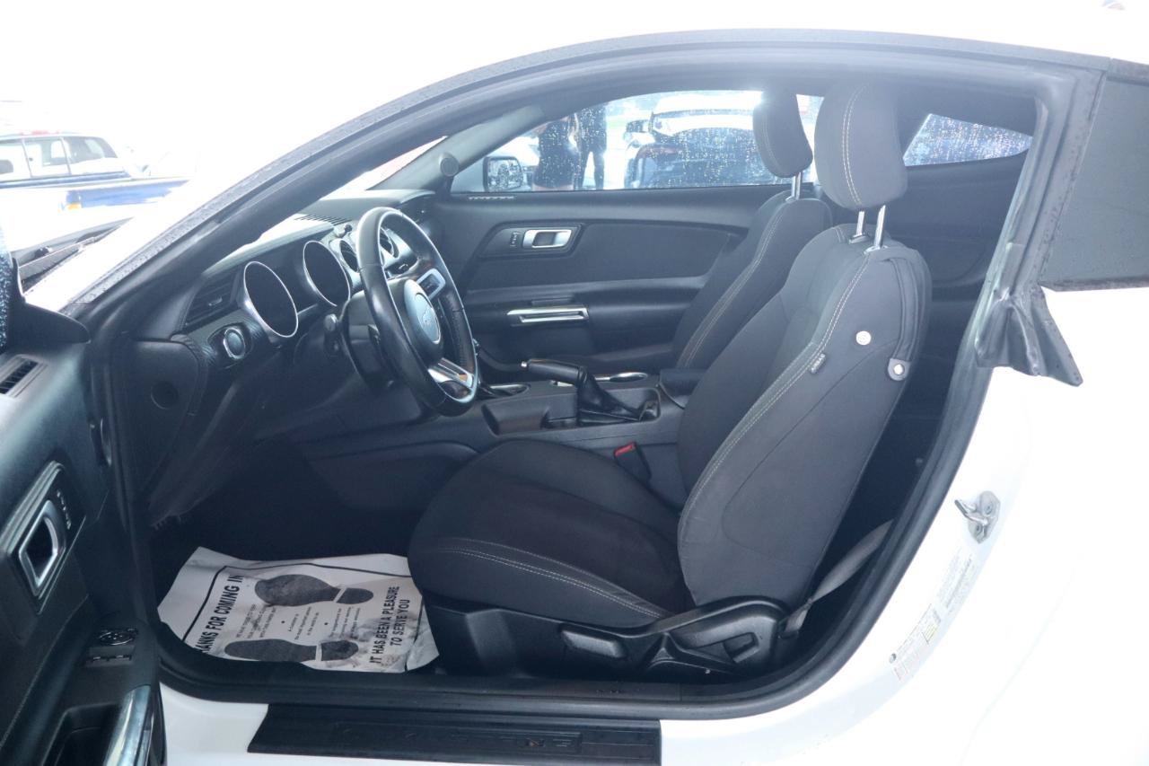 Used 2019 Ford Mustang Coupe RWD image 15