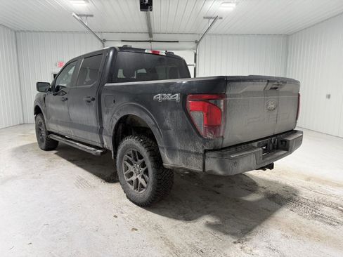 Used 2024 Ford F150 STX w/ STX Black Appearance Package image 4