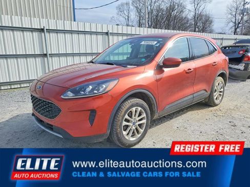 Used 2020 Ford Escape SE AWD/4WD image 2