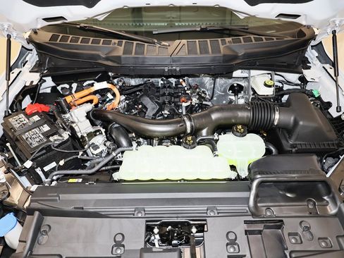 New 2025 Ford F150 XLT w/ Equipment Group 302A MID image 32