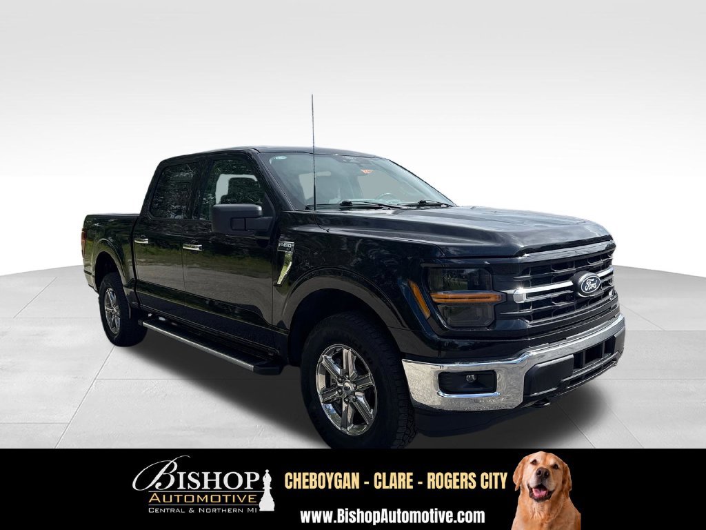 Used 2025 Ford F150 XLT w/ Equipment Group 301A Standard AWD/4WD image 13