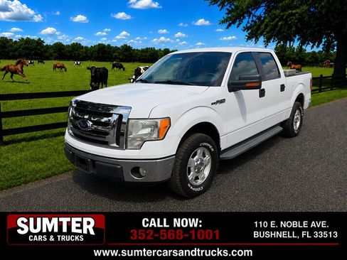Used 2010 Ford F150 XLT RWD image 1