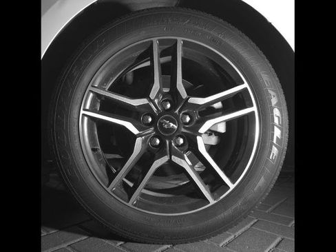 Certified 2019 Ford Mustang Coupe w/ Equipment Group 101A RWD image 12