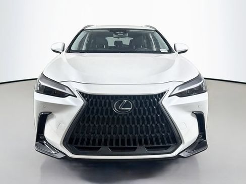 Used 2024 Lexus NX 350h AWD image 2