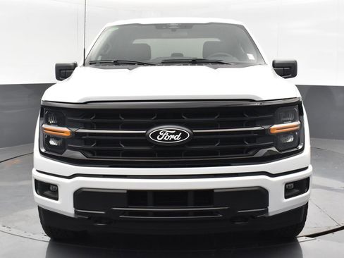 New 2025 Ford F150 XLT w/ Equipment Group 301A Standard image 19