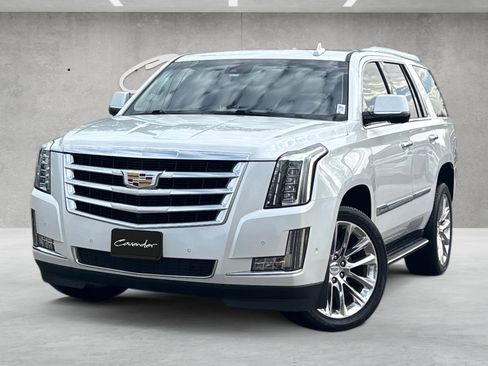 Used 2019 Cadillac Escalade Luxury image 1