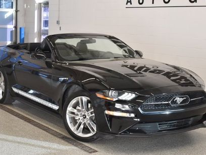 Used 2020 Ford Mustang Premium w/ Equipment Group 201A