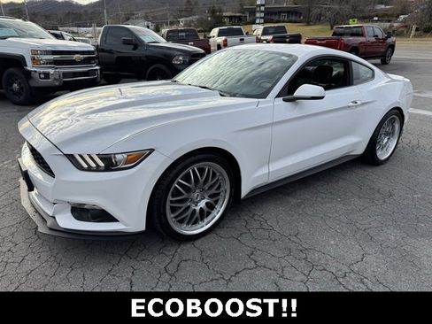 Used 2015 Ford Mustang Premium image 5