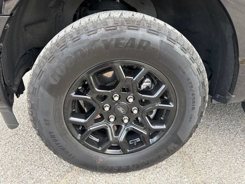 Used 2024 Ford F150 XLT w/ Equipment Group 302A MID AWD/4WD image 2