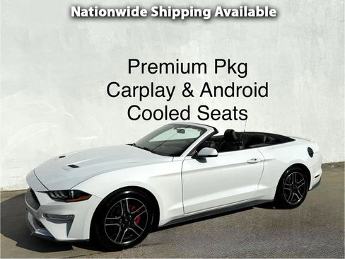 Used 2019 Ford Mustang Premium image 1